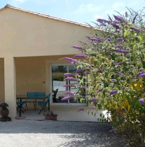 Maison 3 Etoiles Avec Piscine Et Jacuzzi Exterieur Pres De Sarlat Saint-Vincent-le-Paluel Exterior foto